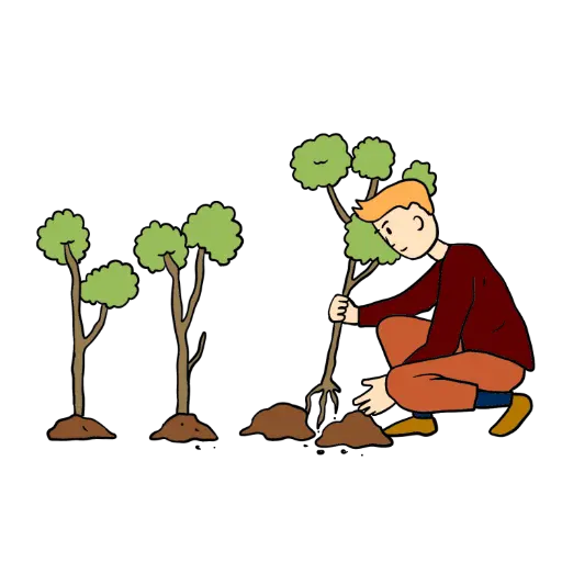 Plantation d'une haie